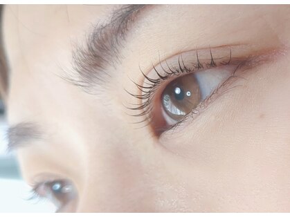 リス(RYS)の写真