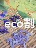 【オプション】eco割　お好きなメニューより￥100引き
