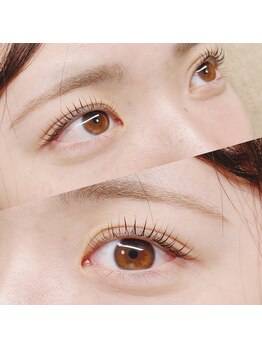 アイラッシュ 66(eyelash 66)/【ラッシュリフト】