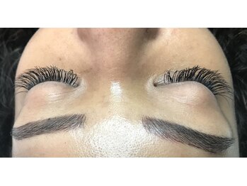 オランダエステティック(Holland Esthetics)/フラットラシユ 300本