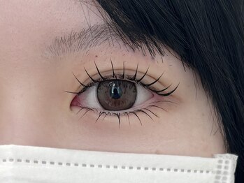 アイラッシュサロン ウインクル(Eyelash Salon Winkle)/上下まつげパーマ