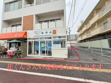 オリーブ(Olive)/サロンへの道順4