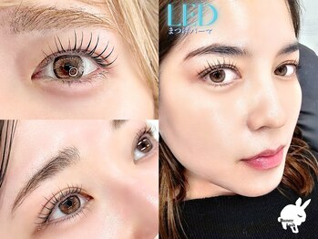 バニーラッシュ 津田沼店(Bunny Lash)の写真/モチ◎！話題のLEDまつげパーマ登場♪韓国ロッドやデザインマツパ&パリジェンヌ★束感まつげパーマも♪