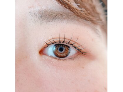 ソル アイラッシュ(sol eyelash)の写真