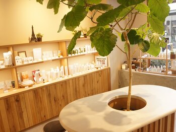 ファシオール 神戸店/緑あふれるナチュラル志向の店内