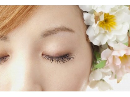 コモドの写真
