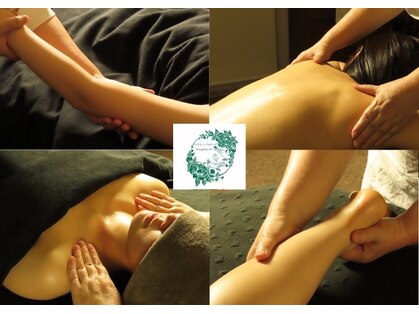 ペリウィンクルローズの写真