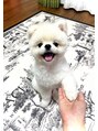 フローティア(Floatia) 愛犬を溺愛しております(^^)
