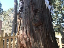 ハミングバード/産安社