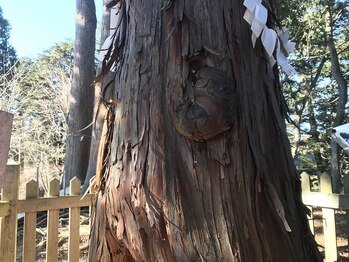 ハミングバード/産安社