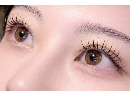 アリア(ARIA)の写真