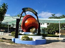 アジアンリラクゼーション ヴィラ 福岡東店(asian relaxation villa)/タイ；シーブーラパーオーキッド