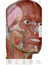 ティーケーエム エンザイム スパ(TKM Enzyme Spa)/