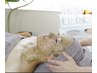 【肌質改善】《しみ・肌荒れに》国産ハーブピーリング(陶器肌トリートメント)