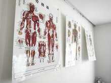 撫の樹/全部まるっと整えます