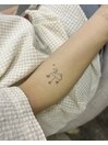 swan jagua tattoo