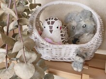 ハミングバード/