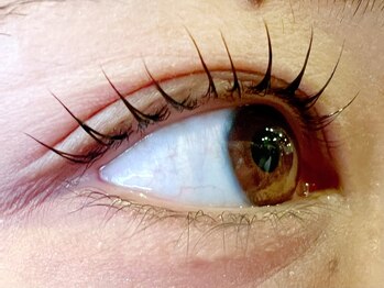 レミア 関内(REMIA)/11月　まつげパーマ