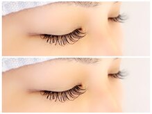 アトリエクレフ/フラットラッシュ　100本