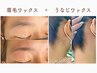 【同時menu】眉毛＋うなじワックス脱毛￥6500