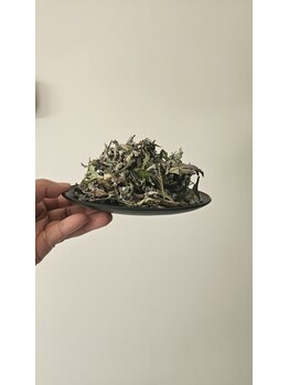 ミホズルーム(Miho‘s room)/よもぎだけ蒸し