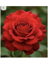 健楽整体院&nbsp;ユミ 