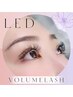 【５週間持続】フサフサ◎LED×ボリュームキープラッシュ100束（300本）¥7480
