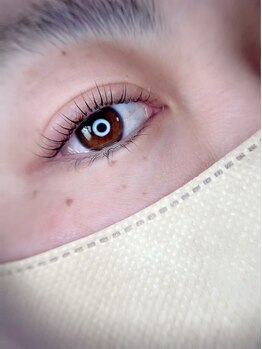 ローリエ/マツエク|マツエク|マツエク|