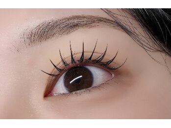 ルチア 高田馬場/フラットラッシュ100本+LED