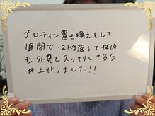 ソフィアパレス/202６年1月