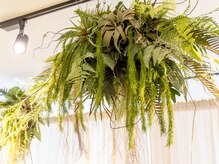 HAILEY Beauty Salon【8月下旬 OPEN(予定)】の雰囲気(ごゆっくりお過ごしください。)