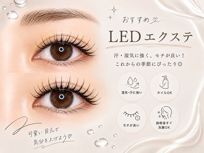 ラヴィリス(LAVILISS)の写真