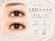 ラヴィリス(LAVILISS)の写真