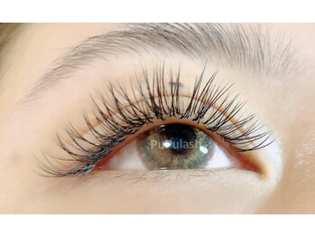 アイサロン ププラッシュ(PuPulash)/