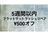 5週間以内のフラットマットラッシュリペア ¥500オフ