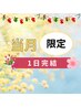 【1日完結/イベント前オススメ】アイブロウスタイリング+全顔WAX脱毛￥12,000