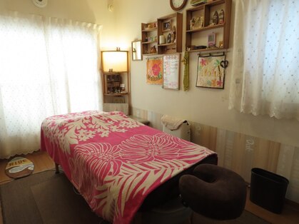 ポノポノ(ponopono)の写真