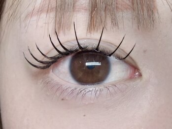 ローランリム(LORAN Lim)/LEDフラットラッシュ120本