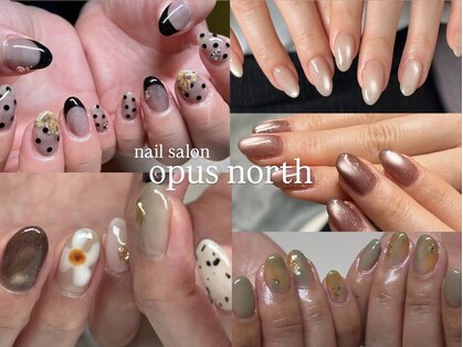 オーパス ノース(OPUS north)の写真