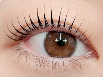 ベルーチェ(BELUCE)/韓国ツヤ感パーマ【Cカール】