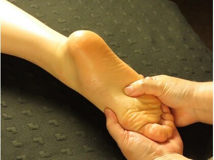 ペリウィンクルローズの写真