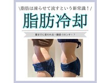 リバイブウーマン(Revive Woman)の雰囲気（脂肪冷却！4℃で凍る脂肪細胞の性質を利用。壊死させ体外に排出）