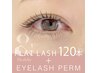 【オフ無料】アンドヘルシー［フラットラッシュ＋まつげパーマ］120本10500