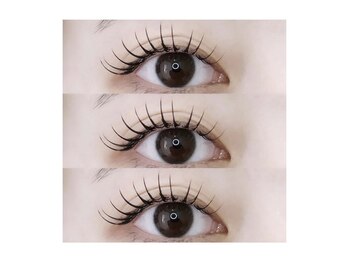 ハウス(HAUS.)/〈フラットラッシュ 120本〉