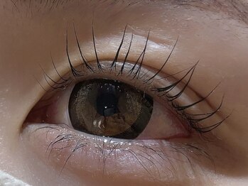 カラン 焼津店(CALIN)/上下ラスティングカール