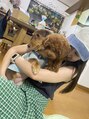 キングスサロン 熊本&nbsp;犬を飼っています☆癒しです♪♪ダックスが愛犬です^ ^