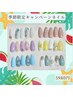 シンプルアート☆夏キャンペーンネイル¥5980【ご新規様・再来当店オフ無料】