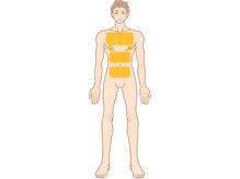 ダンディースター/【胸・お腹】脱毛の卒業目安