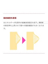 バストサロン メルベイユ(Merveile)/仕組み 2