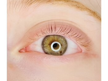 ルクイン 恵比寿 白金(Le Quinn)/パリジェンヌラッシュリフト